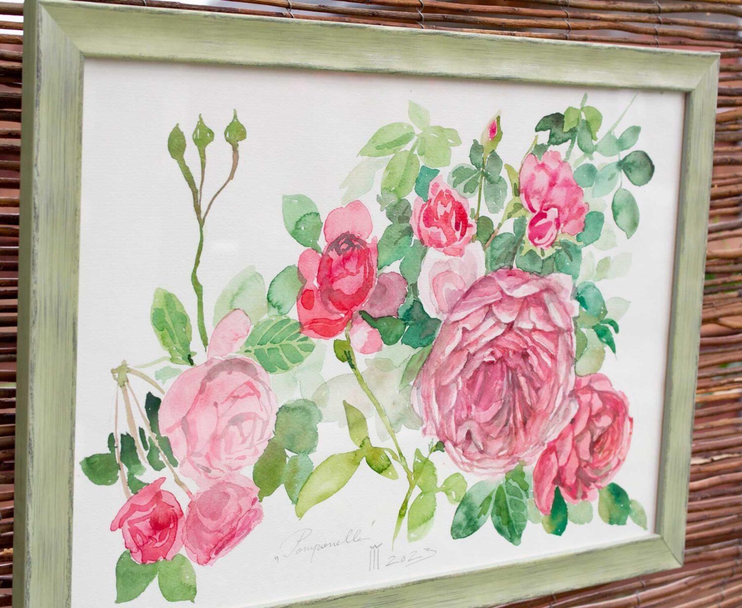 Pomponella 05 Pomponella 05