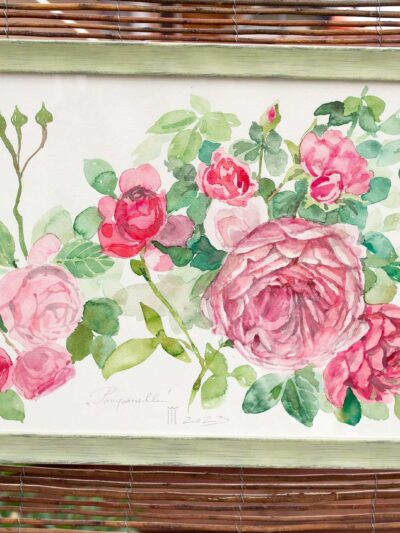 Pomponella 06