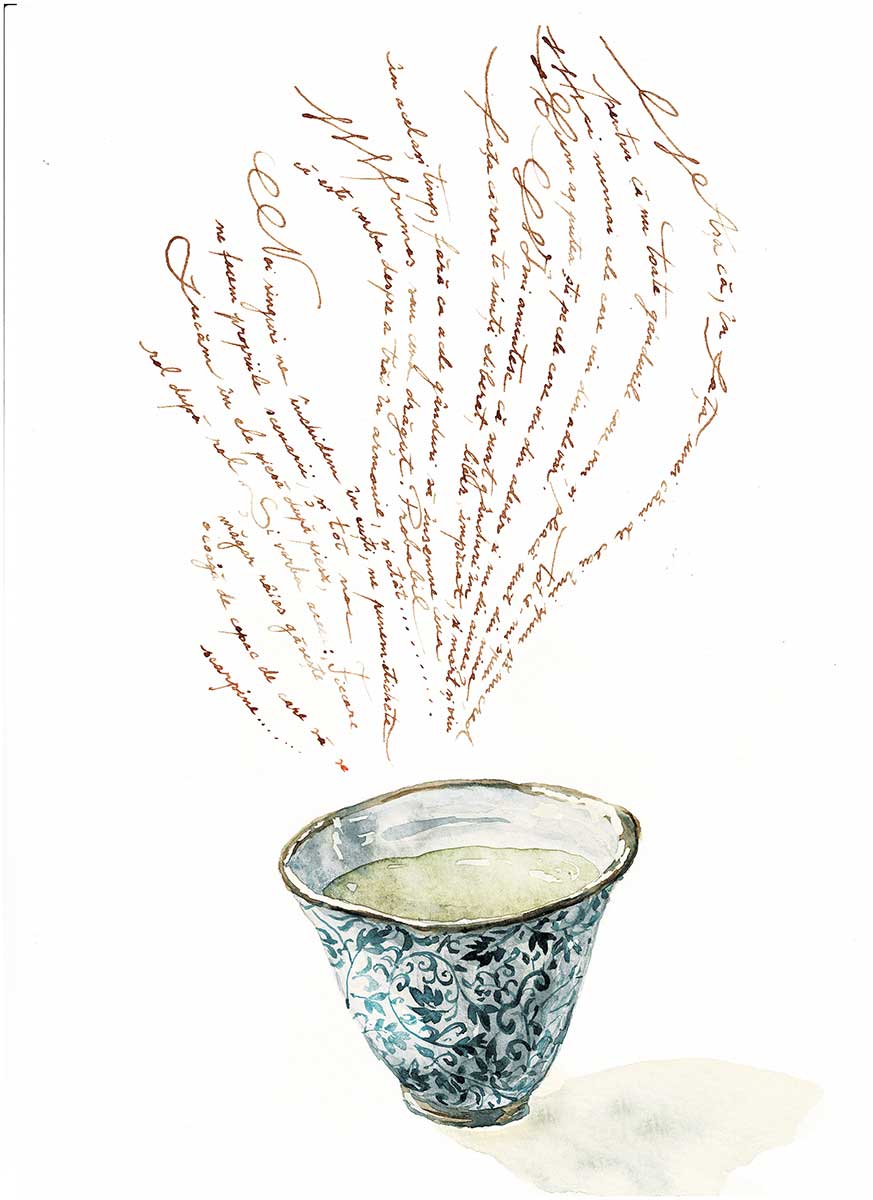 Portofoliu diverse ilustratii maria mateescu