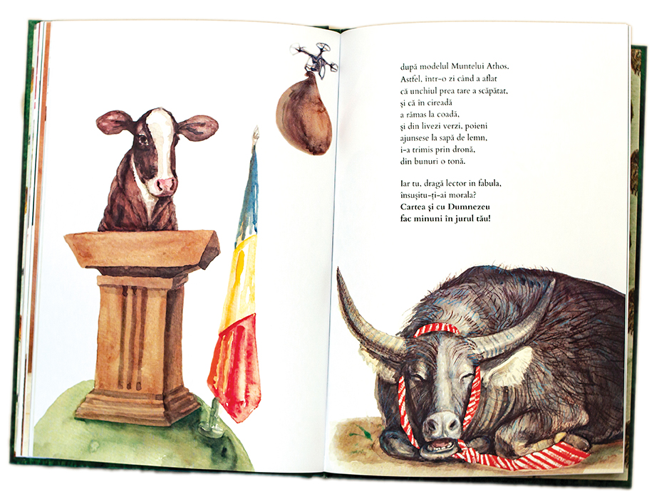 Vitelul si boul