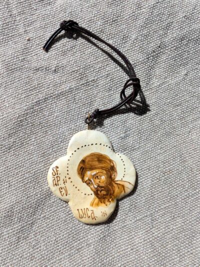 Cruciulita pictata sf.ap . luca. 01