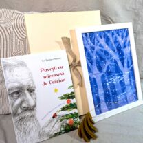 Set cadou tablou iarna 1