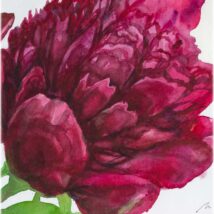 Tablou bujori 4